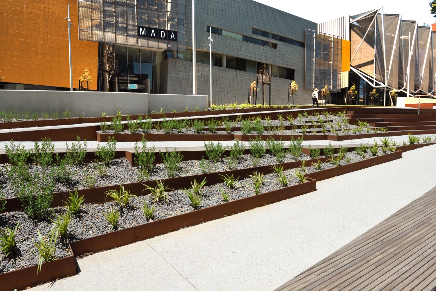 Commercial garden with a tiered garden using a rusted steel garden edging to retain the mulch 